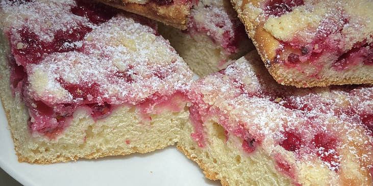 Jednoduchá buchta podle Nikol Leitgeb