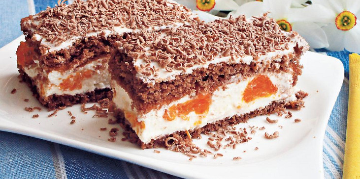 Kakaové řezy s mandarinkami