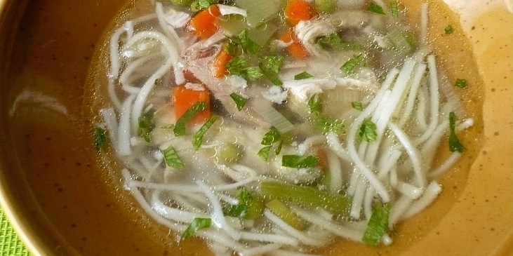 Kuřecí vývar se zeleninou a domácími nudlemi