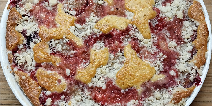 Švestkový koláč z jogurtového těsta