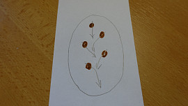 Linecké čokoládové