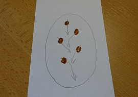 Linecké čokoládové