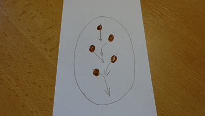 Linecké čokoládové