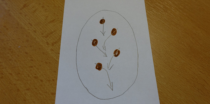 Linecké čokoládové