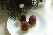 Vosí hnízda s ořechy