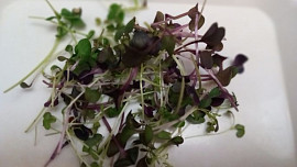 Avokádo s červenou řepou a fíkovým balsamico krémem