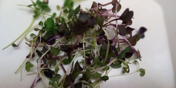 Avokádo s červenou řepou a fíkovým balsamico krémem