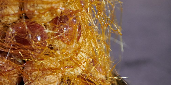 Croquembouche podle Heleny Fléglové