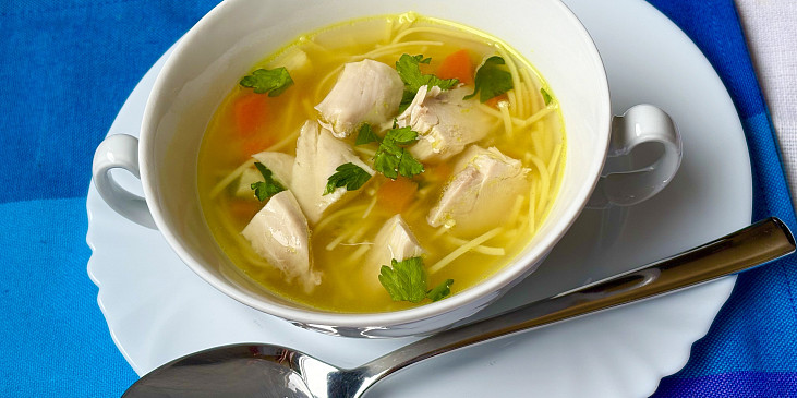 Slepičí polévka se zázvorem z PH