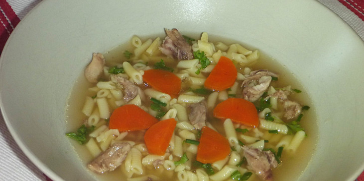 Kuřecí nudlová polévka