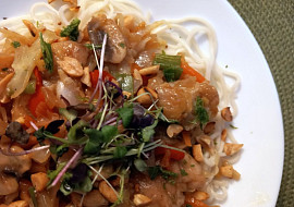 Kuřecí kousky v zelenině s nudlemi v asijském stylu