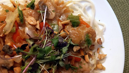 Kuřecí kousky v zelenině s nudlemi v asijském stylu