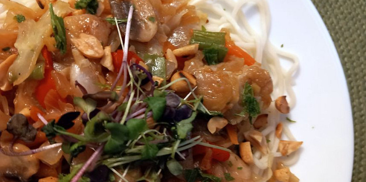 Kuřecí kousky v zelenině s nudlemi v asijském stylu