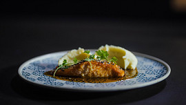 Losos podle Marka Raditsche