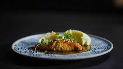 Losos podle Marka Raditsche