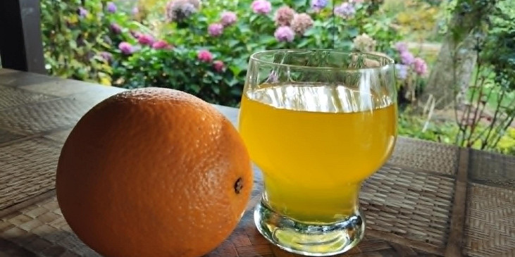 Pomerančový džus ze 2 pomerančů