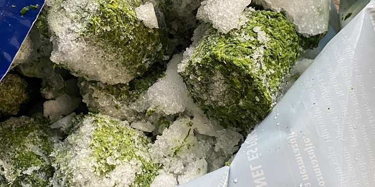 Gnocchi s kuřecím masem, špenátem a sýrovo-smetanovou omáčkou