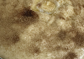 Krupičná kaše (Krupička ♥️)