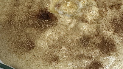 Krupičná kaše, Krupička ♥️