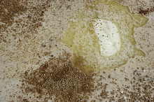 Miluju kaši řidší ♥️