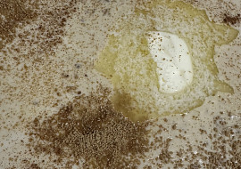 Vločková kaše (Miluju kaši řidší ♥️)