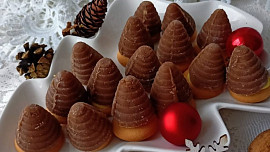 Vosí hnízda oříšková