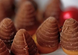 Vosí hnízda z piškotů