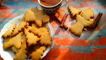 Domácí skořicové sušenky