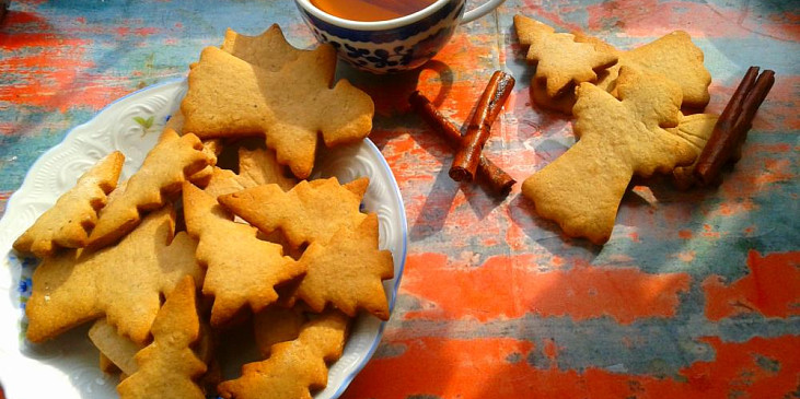 Domácí skořicové sušenky