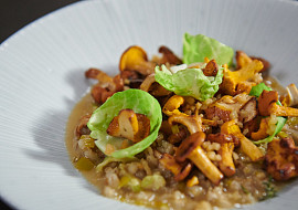 Kroupové rizoto s liškami a špekem podle Jana Punčocháře