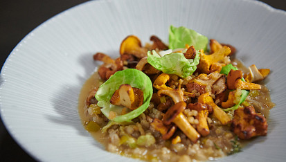 Kroupové rizoto s liškami a špekem podle Jana Punčocháře