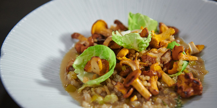 Kroupové rizoto s liškami a špekem podle Jana Punčocháře