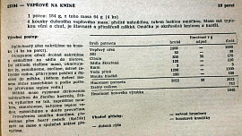 Vepřové na kmínu podle ČSN
