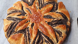 Kynutý makový květ