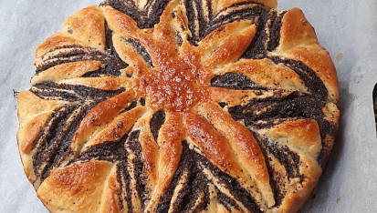 Kynutý makový květ