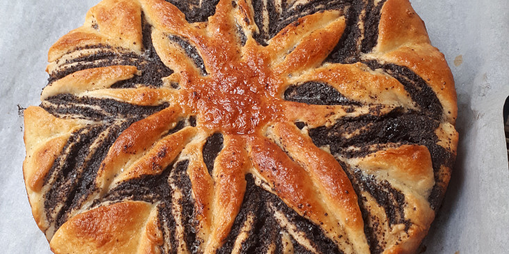 Kynutý makový květ