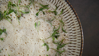 Topinamburový krém podle Honzy Punčocháře