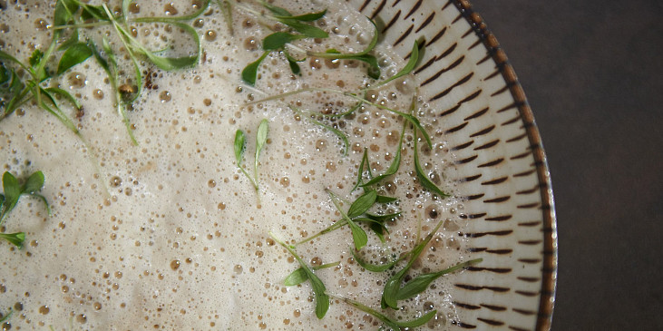 Topinamburový krém podle Honzy Punčocháře