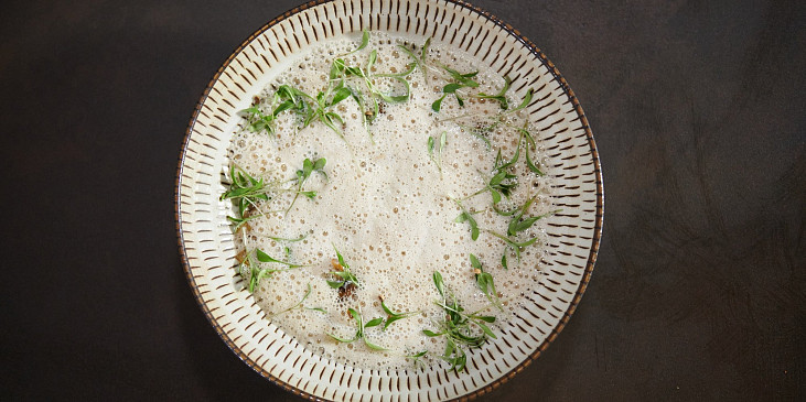 Topinamburový krém podle Honzy Punčocháře