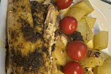 Okoun mořský ♥️