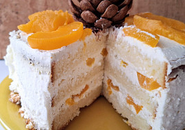 Piškotový dort s tvarohovým krémem vhodný pro žlučníkáře