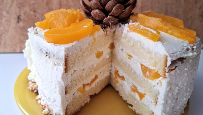 Piškotový dort s tvarohovým krémem vhodný pro žlučníkáře