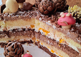 Dvoubarevný dort s tmavým a světlým krémem