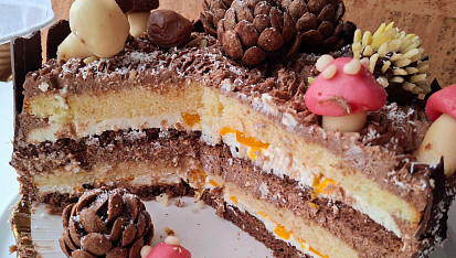 Dvoubarevný dort s tmavým a světlým krémem