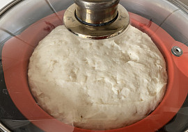 Kynutý knedlík bez lepku, mléka a vajec (vykynuté těsto)