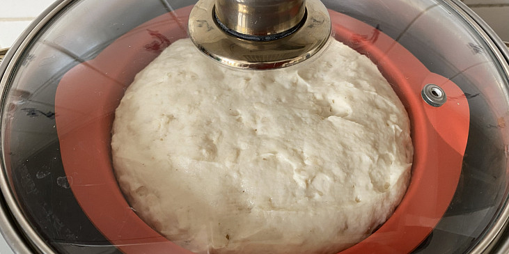 Kynutý knedlík bez lepku, mléka a vajec (vykynuté těsto)