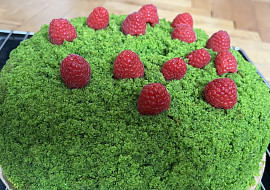 Mechový (špenátový) dort (Mechový dort)