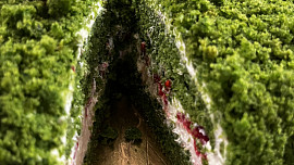 Mechový (špenátový) dort