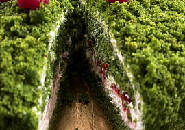 Mechový (špenátový) dort (Uvnitř dortíku maliny :))