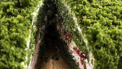 Mechový (špenátový) dort, Uvnitř dortíku maliny :)